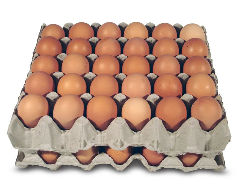 Sunny Queen Eggs XLarge 700g (6x30pk)